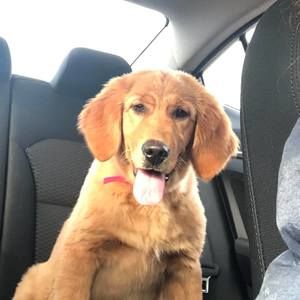 Meet your Posher, Pamela